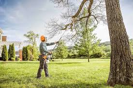 Far Hills, NJ Tree Services Company